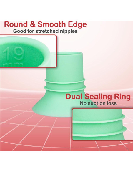 Inserto de Brida 19mm Nenesupply Compatible con Bombas