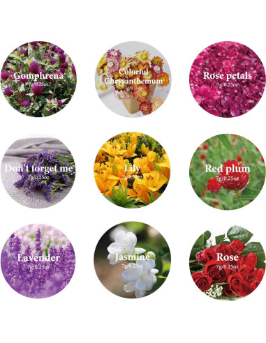 Kit de Flores Secas 100% Natural SACATR - 9 Bolsas de 7g