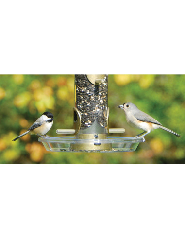 Bandeja Redonda para Semillas Aspects 050 - 21.6 cm