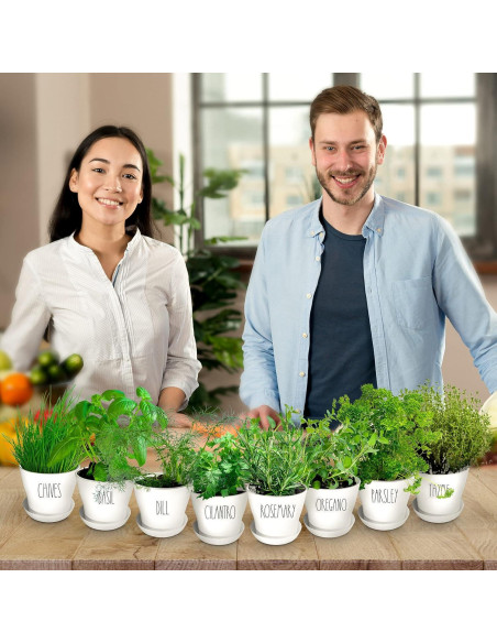 Kit de Jardín de Hierbas ZESTIGREENS - 8 Variedades Orgánicas