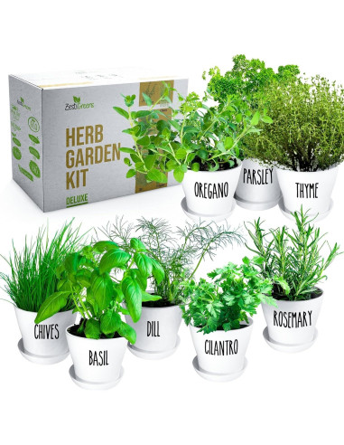 Kit de Jardín de Hierbas ZESTIGREENS - 8 Variedades Orgánicas