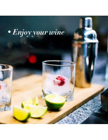 Shaker de cóctel NewGF 700 ml con colador y jigger