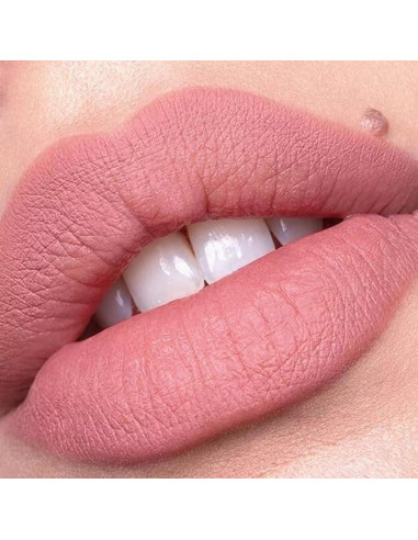 Lápiz Labial Contorno Catrice Plumping 010