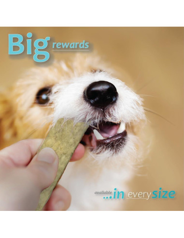 Masticables de Higiene Oral para Perros Pequeños Ora-Clens - 30 Unidades