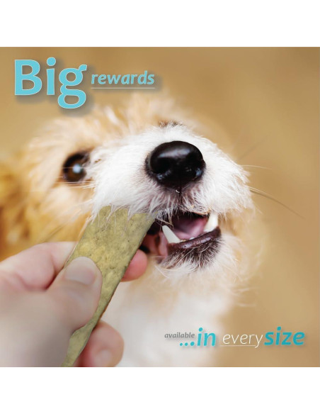 Masticables de Higiene Oral para Perros Pequeños Ora-Clens - 30 Unidades