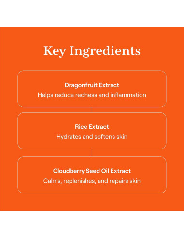 Protector Solar Stick Live Tinted Hueguard SPF 50 22g