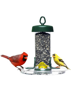 Alimentador de Aves Brome Tube Solution 100 - 0.77 kg, Verde 2