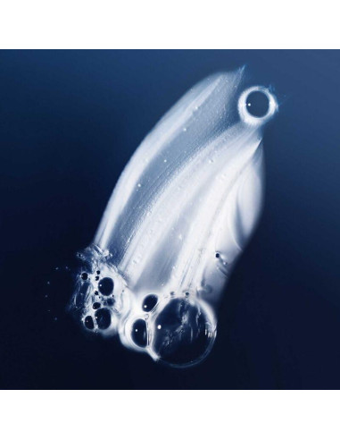 Kit de Cuidado Capilar Living Proof - Champú, Acondicionador y Estilizador