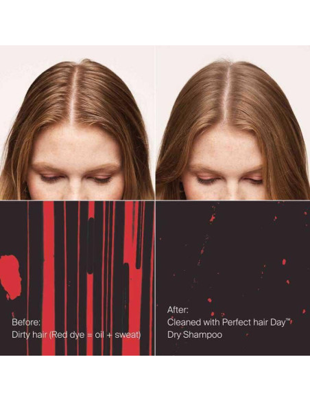 Kit de Cuidado Capilar Living Proof - Champú, Acondicionador y Estilizador