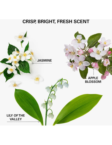 Champú Seco Avanzado COLOR WOW - Elimina Aceite y Frizz 180g