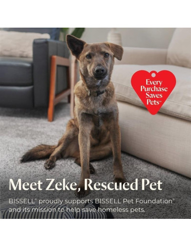 Aspiradora Húmeda y Seca Bissell CrossWave HydroSteam 5.67kg