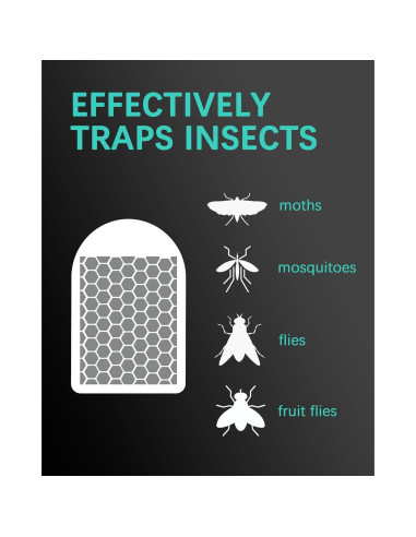 12 Recargas Trampa Insectos Voladores Dichroma FT06