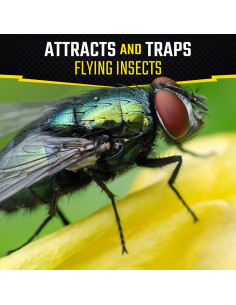 Trampa de Moscas Black Flag - Paquete de 6 Unidades - Uso Interior y Exterior 2