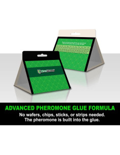 Trampas para Polillas de Despensa MaxGuard - 24 Unidades con Feromonas 2