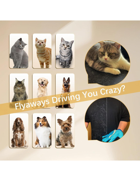 Guante de Aseo Multifuncional ButtonwoodNest 1pieza Azul