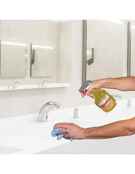 Limpiador Desinfectante Multi-Superficie Windex SC Johnson 3.78L