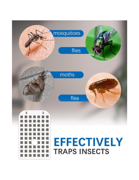 Paquete de 10 Tarjetas Adhesivas Reemplazo para Trampa DFAGIE GS6