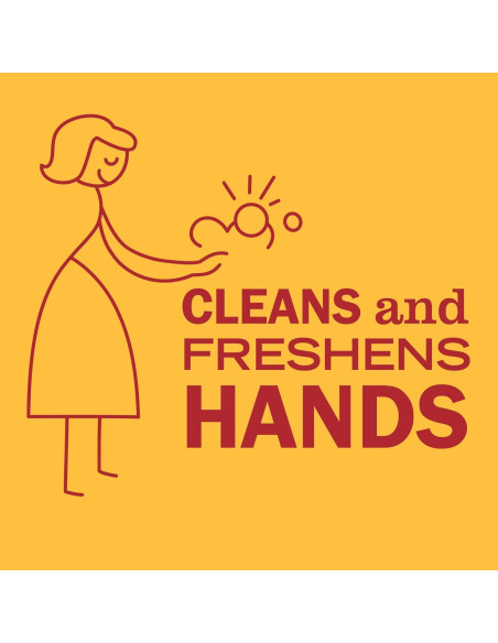 Jabón de Manos Mrs. Meyer's Clean Day Clementina 369.5 ml