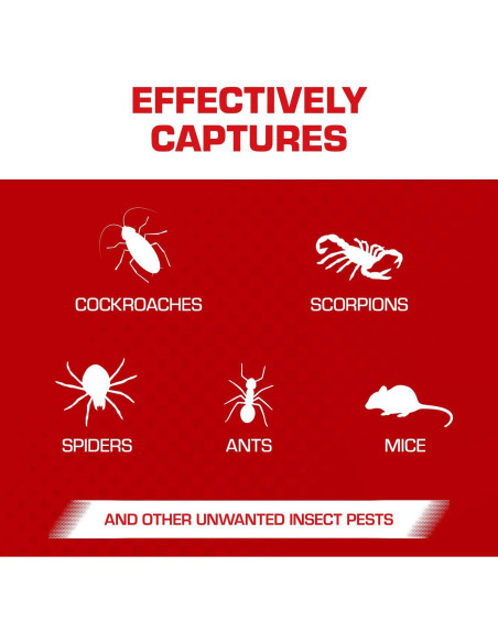 Tableros de Pegamento Tomcat para Ratones y Cucarachas - 4 Unidades