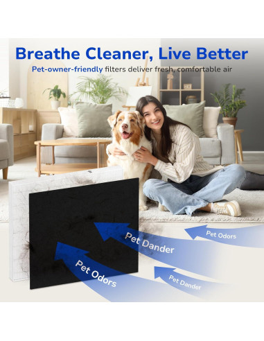 Filtro de Reemplazo Fil-fresh 2-Pack para Purificador Coway AP-1512HH