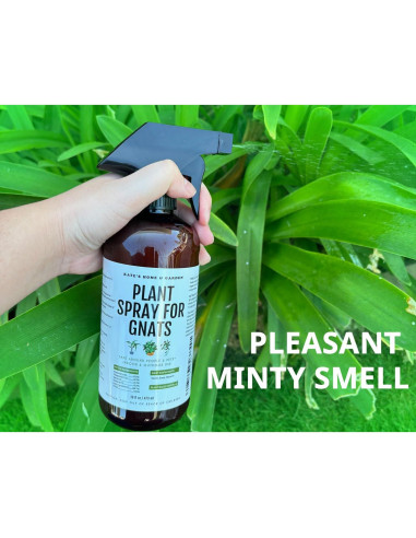 Spray Insecticida Natural Kate's para Plantas 473ml + 12 Trampas