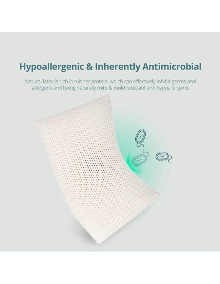 Almohada de látex UPOUEIM Estándar 100% Natural Transpirable