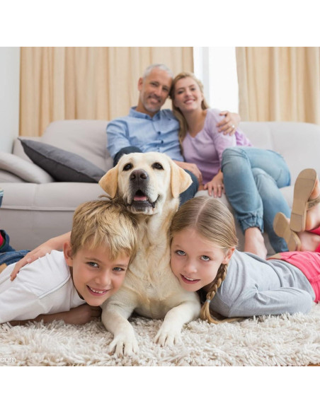 Pre-Filtro A SUNRRA HRF-A300 para Purificadores Honeywell - 6 Paquete