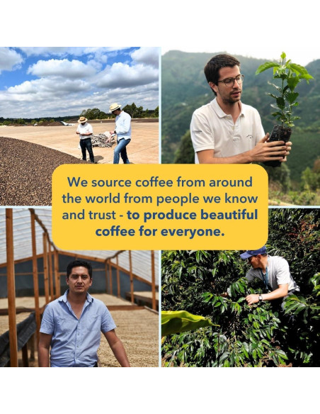 Café en Grano Partners Coffee El Ramo 340g Tostado Claro