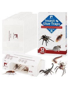 Trampas de Pegamento LULUCATCH 12 Unidades para Ratones e Insectos