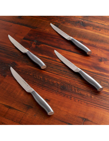 Cuchillos de Carne Henckels Graphite 4 Piezas Acero Inoxidable