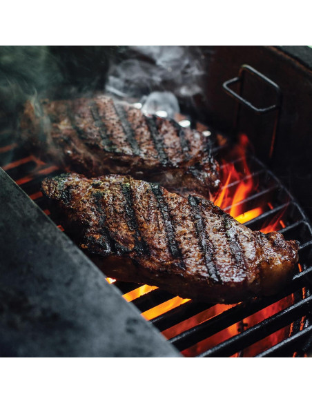 Rejilla de Cocción Hierro Fundido Kamado Joe Classic Joe 45.72cm