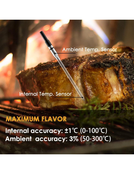 Termómetro de Carne Inalámbrico Bluetooth 5.2 NADEZHDA 1 Sonda