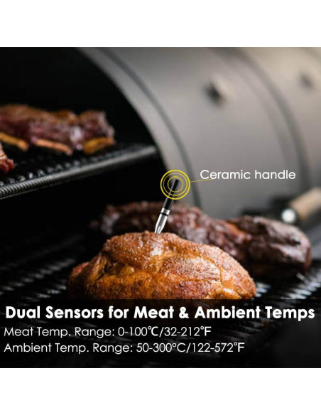 Termómetro de Carne Inalámbrico Bluetooth 5.2 NADEZHDA 1 Sonda