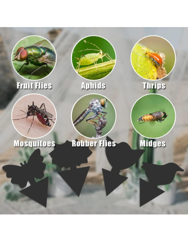 Trampas Adhesivas para Mosquitos SEEKBIT - 36 Piezas Negros