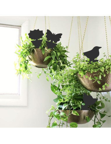 Trampas Adhesivas para Mosquitos SEEKBIT - 36 Piezas Negros