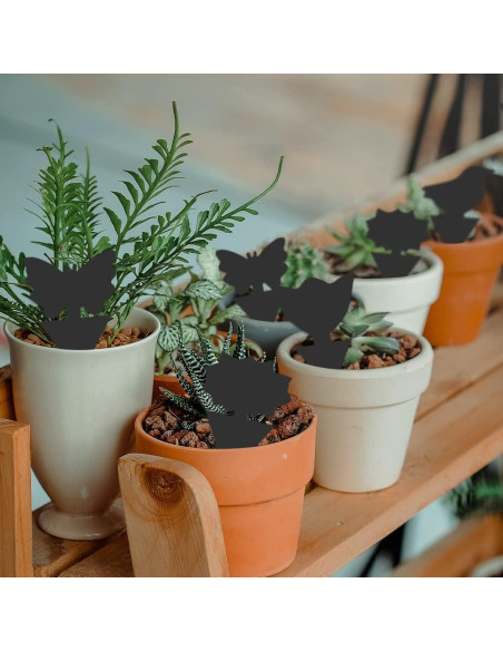 Trampas Adhesivas para Mosquitos SEEKBIT - 36 Piezas Negros