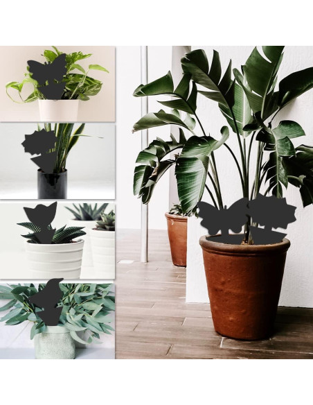 Trampas Adhesivas para Mosquitos SEEKBIT - 36 Piezas Negros