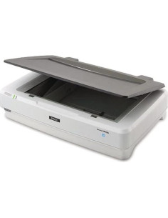 Unidad de Transparencia Epson B12B819221 para Escáner 12000XL 2