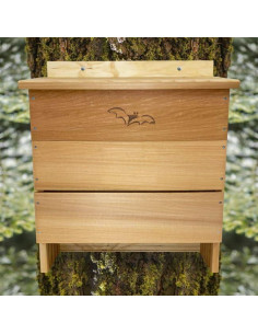 Casa para Murciélagos OBC 5 Cámaras Songbird Essentials 2