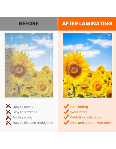 Fundas Térmicas para Laminado CAREGY 330 Hojas 3 Mil 22.86x29.21 cm