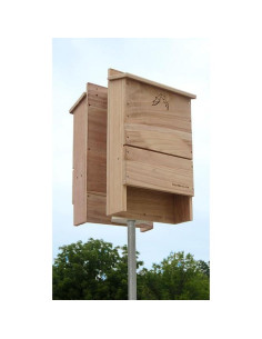 Kit Casa para Murciélagos Doble Celda BestNest - 500 Murciélagos 2