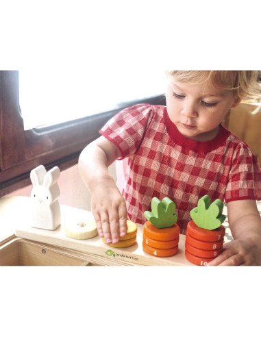Tender Leaf Toys Zanahorias Contadoras - Juguete Educativo 18 meses+