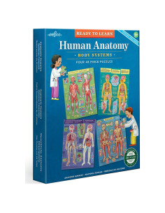 Rompecabezas Educativos Anatomía Humana eeBoo - 4 Puzzles 48 Piezas