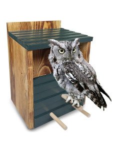 Casa de Búho para Exterior JJI 24.89x17.78cm Madera de Cedro