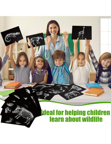 Kit Educativo Rayos X de Animales Chunful - 20 Piezas 29.7x21 cm