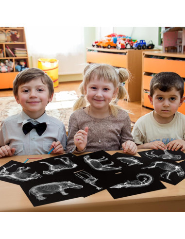 Kit Educativo Rayos X de Animales Chunful - 20 Piezas 29.7x21 cm