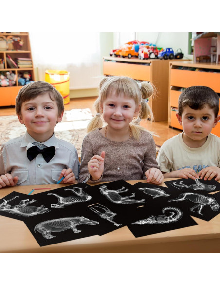 Kit Educativo Rayos X de Animales Chunful - 20 Piezas 29.7x21 cm