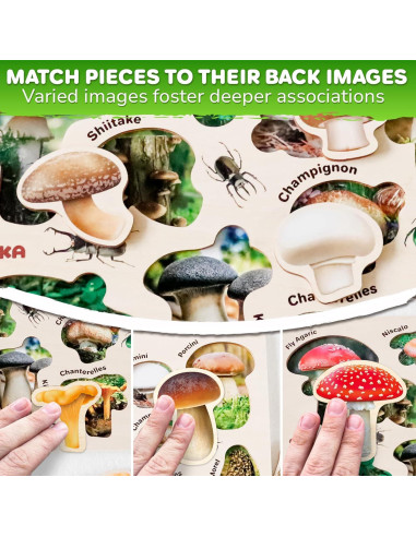 Multipack de 6 Rompecabezas Quokka para Niños y Niñas