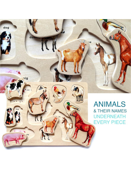 Multipack de 6 Rompecabezas Quokka para Niños y Niñas