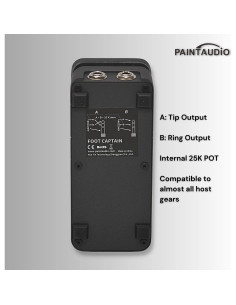 Pedal de Expresión Foot Captain Audio Paint Doble Salida 2